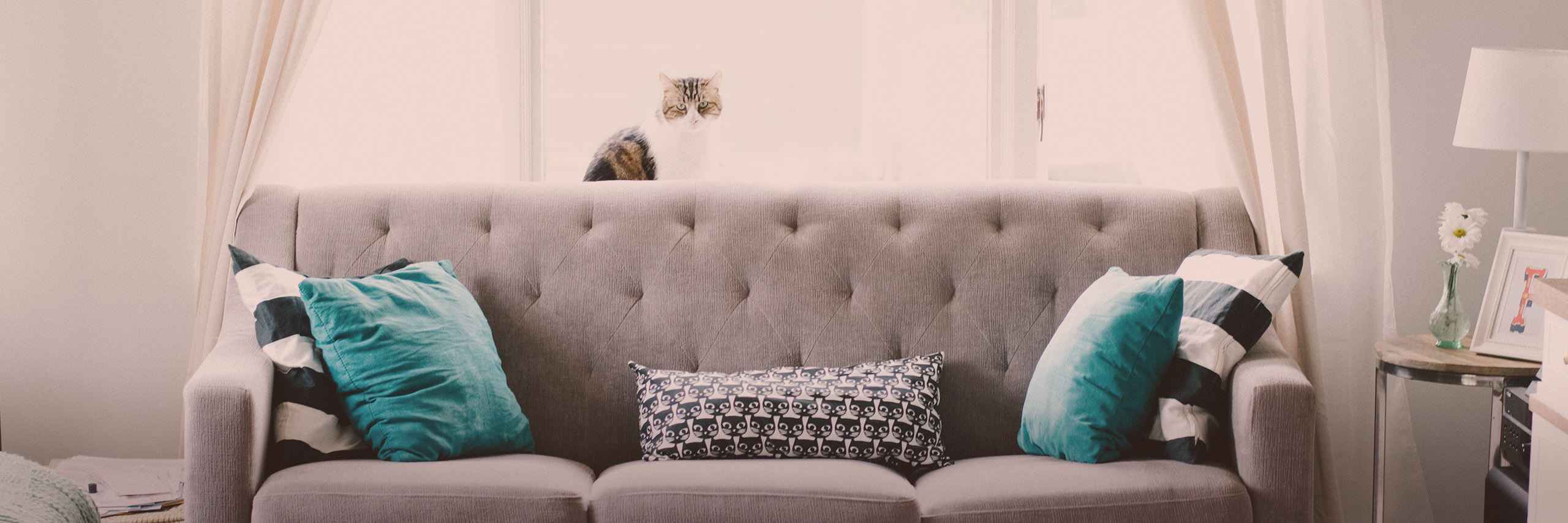 DEV ePartner ONE header image